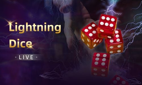 6690 bet